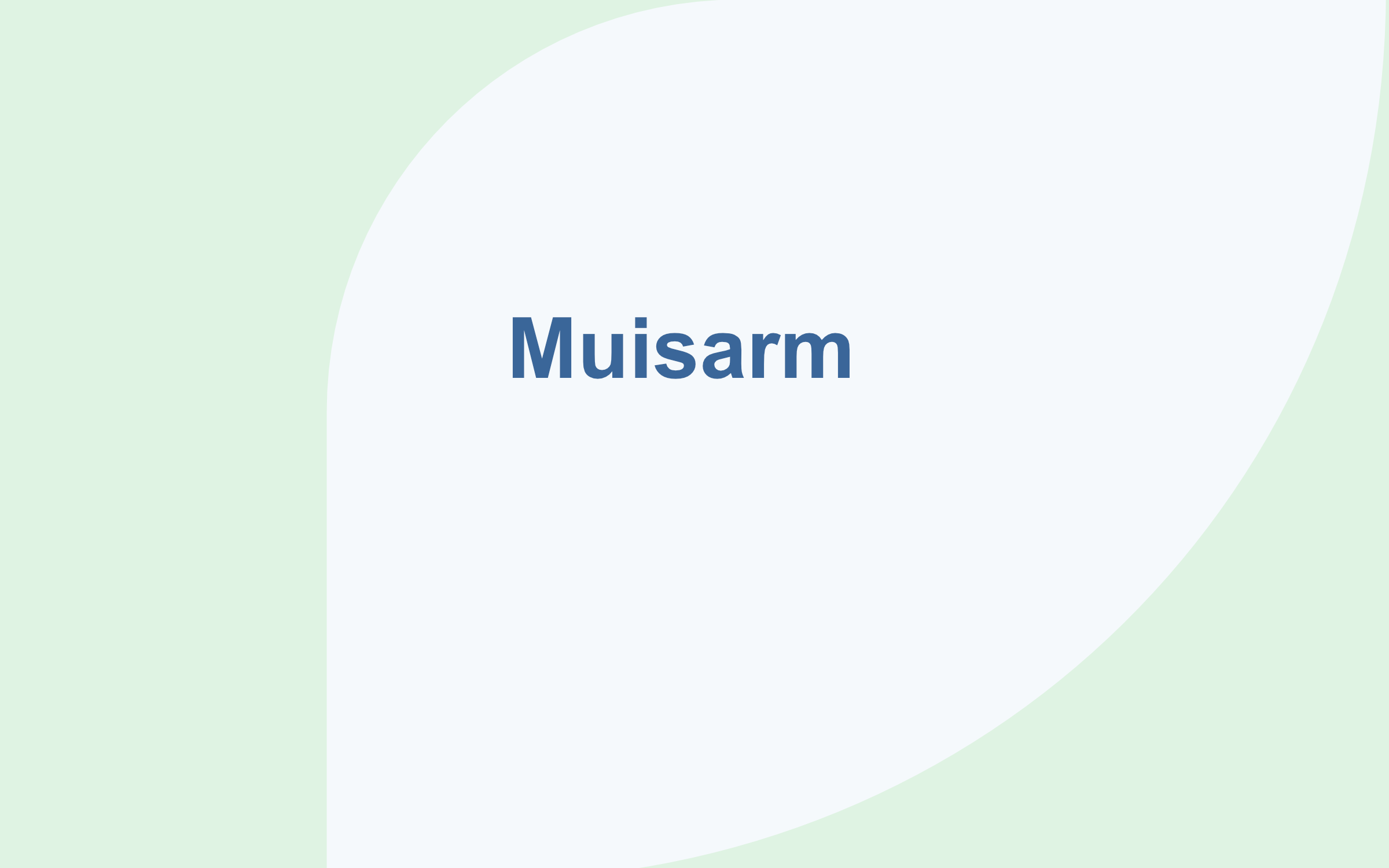 Blog muisarm